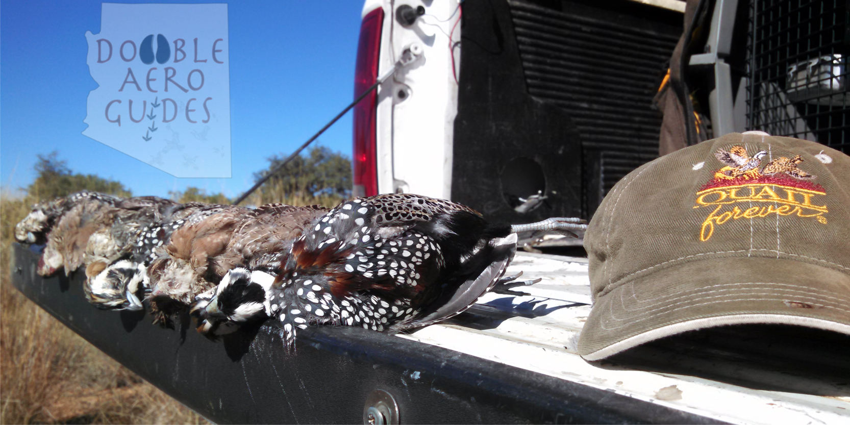 QF Mearns with state and logo | Double Aero Guides