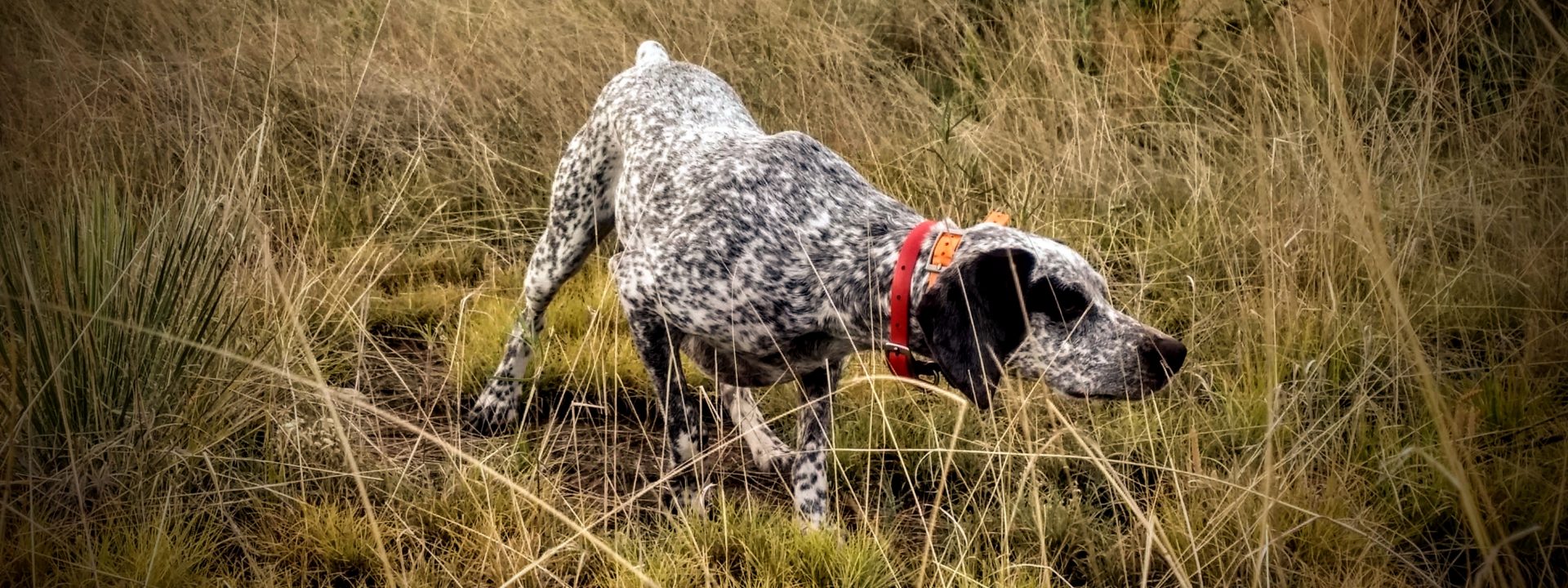 Rates | Double Aero Guides