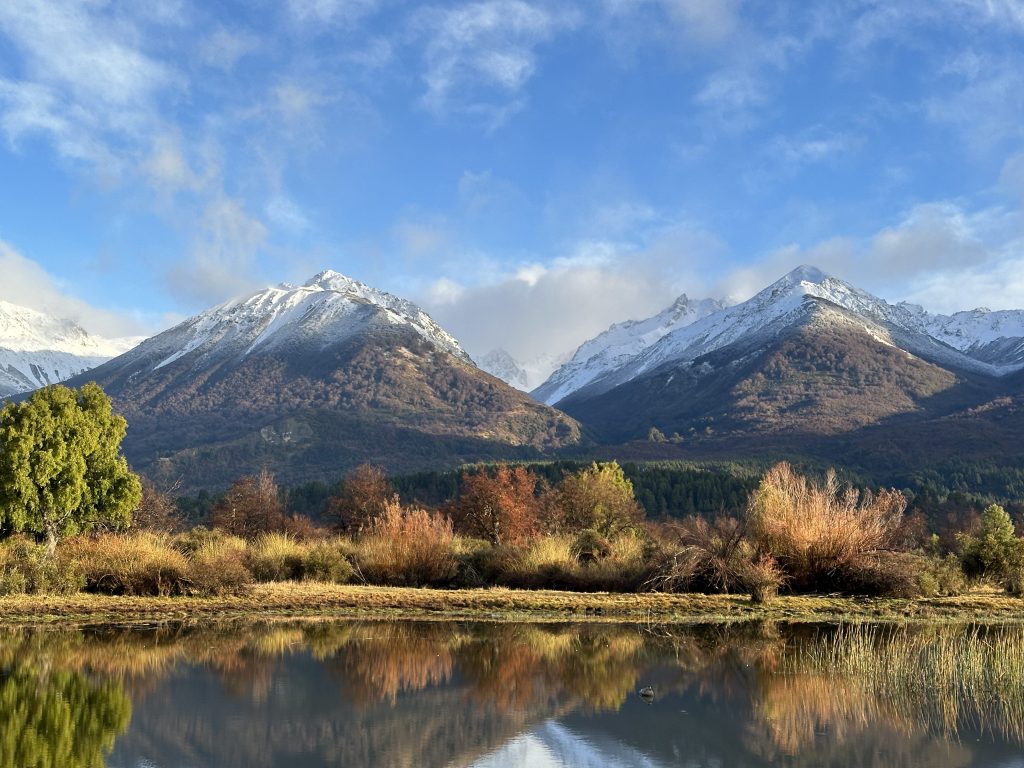 Argentina Quail Hunts
