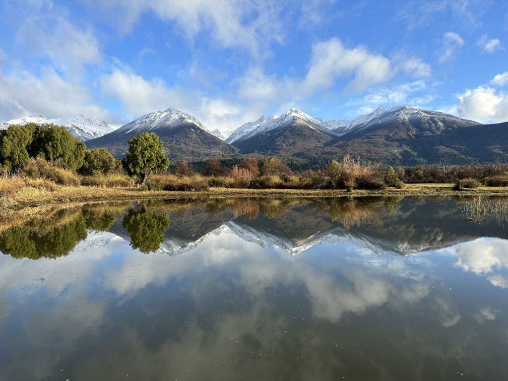 Argentina Quail Hunts