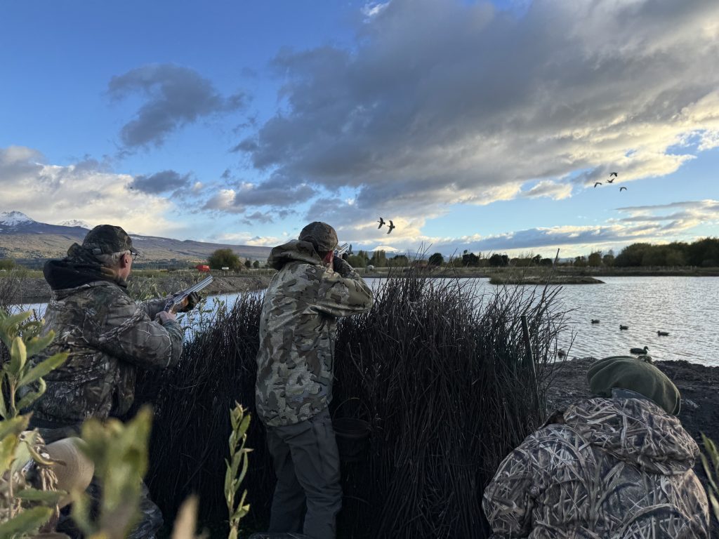Argentina duck hunts