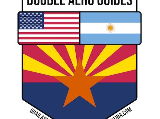 Patagonia wingshooting