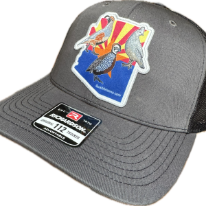 Arizona quail hat