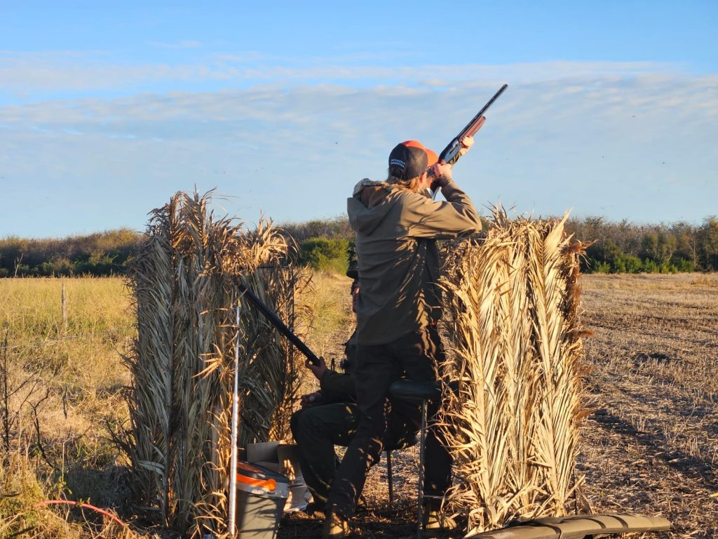 Dove shooting Argentina