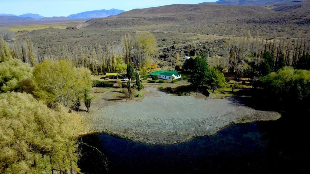 Patagonia Argentina Quail Hunting