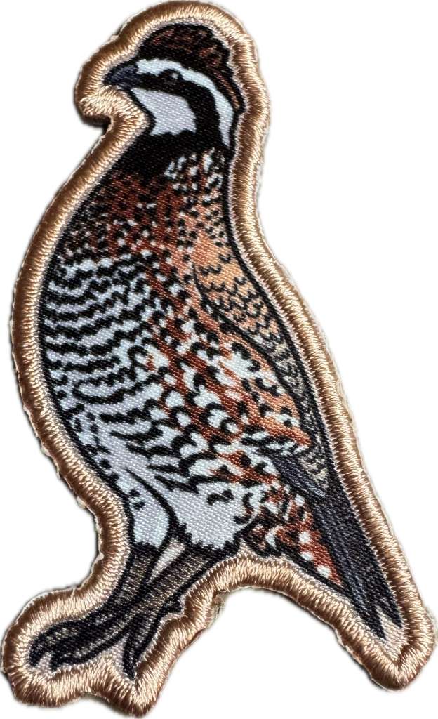 Bobwhite quail patch