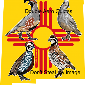 New Mexico quail sticker