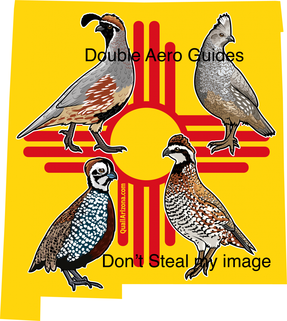 New Mexico quail sticker